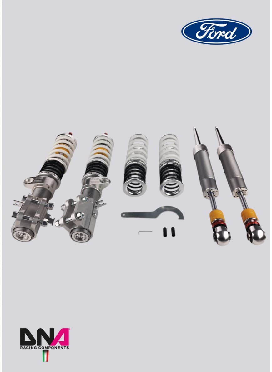 DNA Racing Zestaw zawieszenia WRS Ford Fiesta MkVII ST (PC2188)