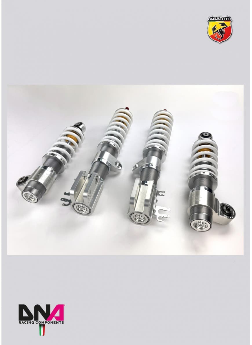 DNA Racing Zestaw zawieszenia WRS 500 Abarth USA (PC2029)