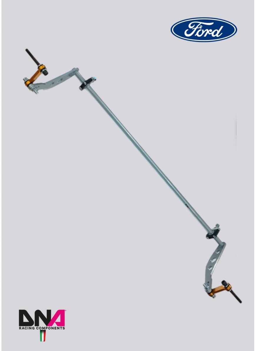 DNA Racing Zestaw stabilizatora — tył Ford Fiesta MkVII ST (PC0978)